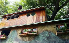 La Casa Del Arbol